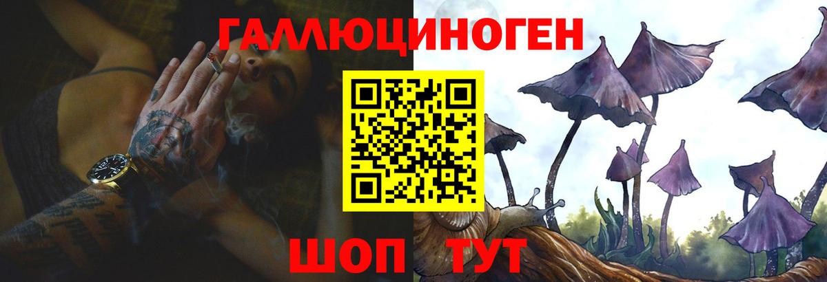 Псилоцибиновые грибы GOLDEN TEACHER  Псилоцибиновые грибы Psilocybine cubensis  Клин  цена   Вход с VPN 
